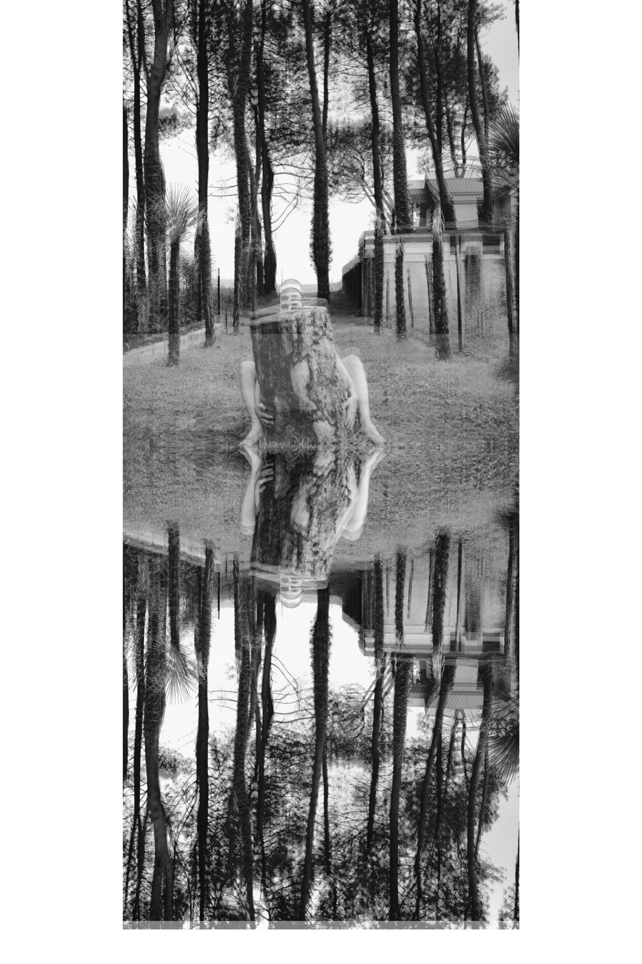 Repeated frames of a single moment, from Repetition by Lilit L Hovhanni.